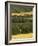 Hops, Darent Valley, Near Shoreham, Kent, England, United Kingdom, Europe-David Hughes-Framed Photographic Print