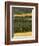 Hops, Darent Valley, Near Shoreham, Kent, England, United Kingdom, Europe-David Hughes-Framed Photographic Print