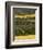 Hops, Darent Valley, Near Shoreham, Kent, England, United Kingdom, Europe-David Hughes-Framed Photographic Print