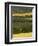 Hops, Darent Valley, Near Shoreham, Kent, England, United Kingdom, Europe-David Hughes-Framed Photographic Print