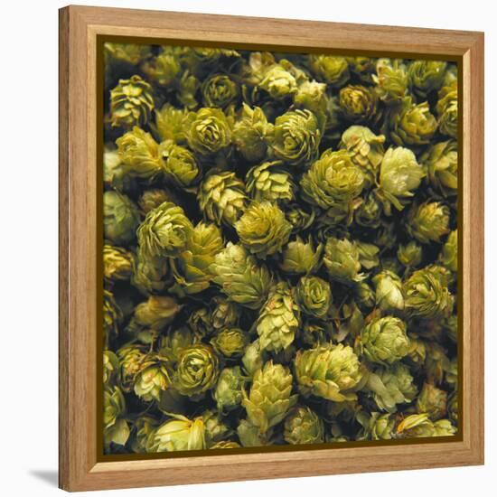 Hops (Filling the Picture)-Herbert Lehmann-Framed Premier Image Canvas