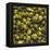 Hops (Filling the Picture)-Herbert Lehmann-Framed Premier Image Canvas