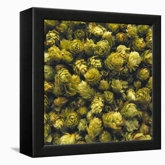 Hops (Filling the Picture)-Herbert Lehmann-Framed Premier Image Canvas