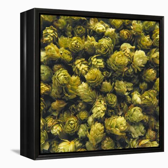 Hops (Filling the Picture)-Herbert Lehmann-Framed Premier Image Canvas