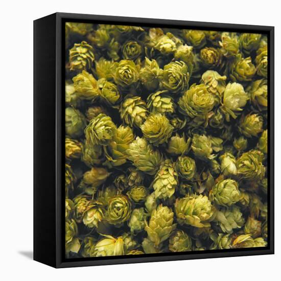 Hops (Filling the Picture)-Herbert Lehmann-Framed Premier Image Canvas