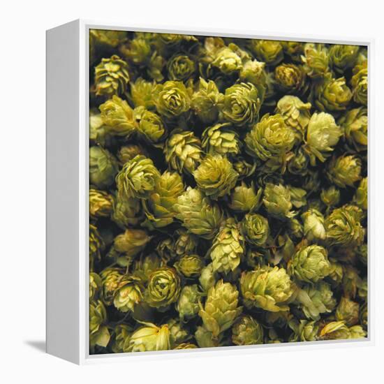 Hops (Filling the Picture)-Herbert Lehmann-Framed Premier Image Canvas