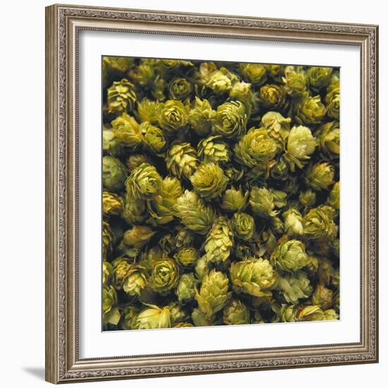 Hops (Filling the Picture)-Herbert Lehmann-Framed Photographic Print