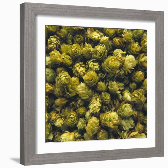 Hops (Filling the Picture)-Herbert Lehmann-Framed Photographic Print