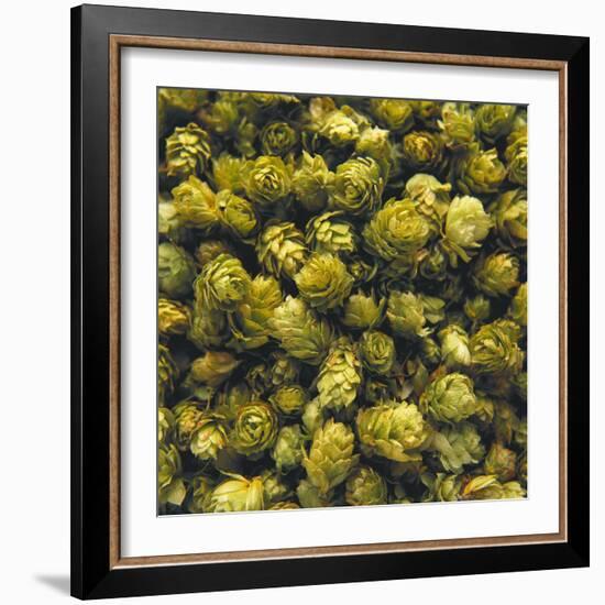 Hops (Filling the Picture)-Herbert Lehmann-Framed Photographic Print