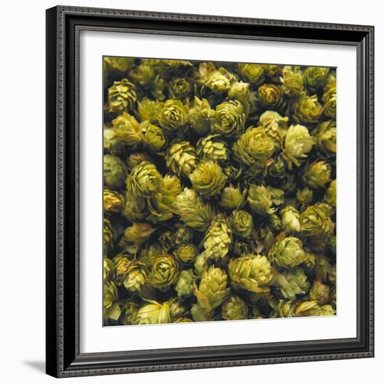 Hops (Filling the Picture)-Herbert Lehmann-Framed Photographic Print