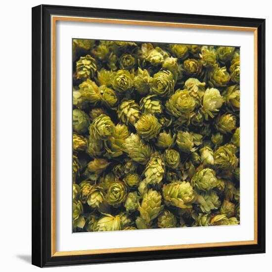 Hops (Filling the Picture)-Herbert Lehmann-Framed Photographic Print