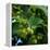 Hops-Magda Indigo-Framed Premier Image Canvas