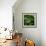 Hops-Magda Indigo-Framed Photographic Print displayed on a wall