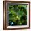 Hops-Magda Indigo-Framed Photographic Print