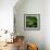 Hops-Magda Indigo-Framed Photographic Print displayed on a wall