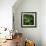 Hops-Magda Indigo-Framed Photographic Print displayed on a wall