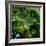 Hops-Magda Indigo-Framed Photographic Print