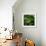 Hops-Magda Indigo-Framed Photographic Print displayed on a wall