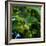 Hops-Magda Indigo-Framed Photographic Print