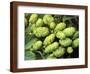 Hops-Clay Perry-Framed Photographic Print
