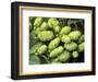 Hops-Clay Perry-Framed Photographic Print