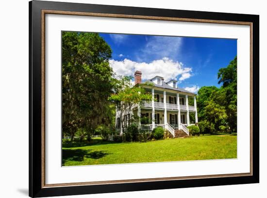 Hopsewee Plantation-Alan Hausenflock-Framed Photo