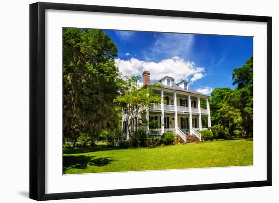 Hopsewee Plantation-Alan Hausenflock-Framed Photo