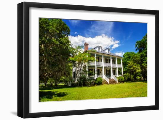 Hopsewee Plantation-Alan Hausenflock-Framed Photo