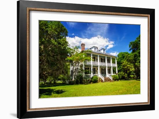 Hopsewee Plantation-Alan Hausenflock-Framed Photo