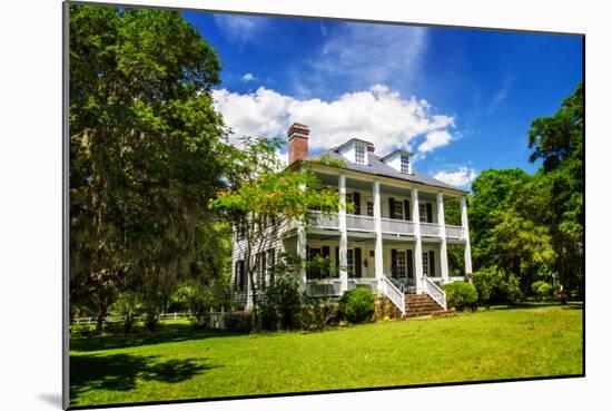 Hopsewee Plantation-Alan Hausenflock-Mounted Photo