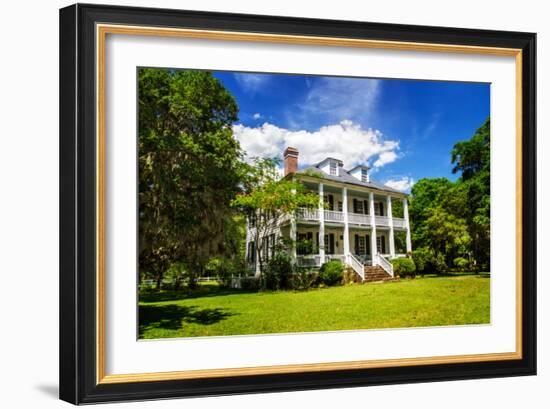 Hopsewee Plantation-Alan Hausenflock-Framed Photo