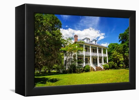 Hopsewee Plantation-Alan Hausenflock-Framed Stretched Canvas