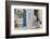 Hora, Serifos Island, Cyclades, Greek Islands, Greece, Europe-Tuul-Framed Photographic Print