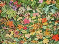 Autumnal Cat-Horace Scoppa-Giclee Print