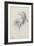 Horatio Greenough, 1829-30 (Pencil on Paper)-Thomas Cole-Framed Giclee Print