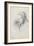 Horatio Greenough, 1829-30 (Pencil on Paper)-Thomas Cole-Framed Giclee Print