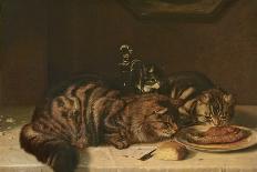 Long-Eared Rabbits in a Cage, Watched by a Cat-Horatio Henry Couldery-Giclee Print