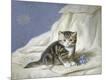 Giclee Print