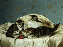 Three Kittens Watching Goldfish-Horatio Henry Couldery-Giclee Print
