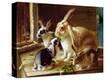 Stretched Canvas Print