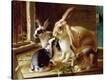 Stretched Canvas Print