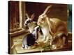 Stretched Canvas Print