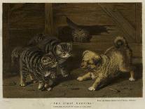 Long-Eared Rabbits in a Cage, Watched by a Cat-Horatio Henry Couldery-Giclee Print