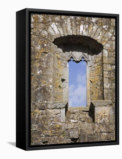 Hore Abbey, Cashel Town, County Tipperary, Munster, Republic of Ireland, Europe-Richard Cummins-Framed Premier Image Canvas