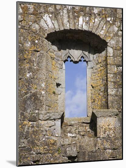 Hore Abbey, Cashel Town, County Tipperary, Munster, Republic of Ireland, Europe-Richard Cummins-Mounted Photographic Print