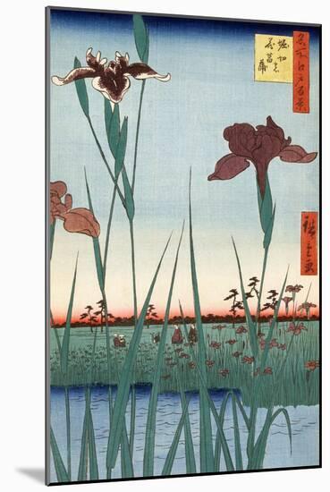 Horikiri Iris Garden by Utagawa Hiroshige, 1857 (Woodblock Print)-Ando or Utagawa Hiroshige-Mounted Giclee Print