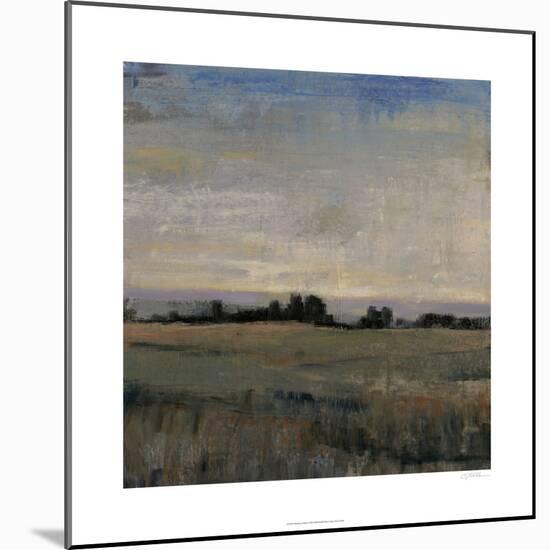 Horizon at Dusk I-Tim O'toole-Mounted Art Print