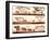 Horizontal Banners of Wild Animals in African Savanna.-Vertyr-Framed Art Print