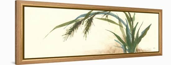 Horizontal Grass II-Chris Paschke-Framed Stretched Canvas