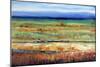 Horizontal Layers-Tim O'toole-Mounted Giclee Print